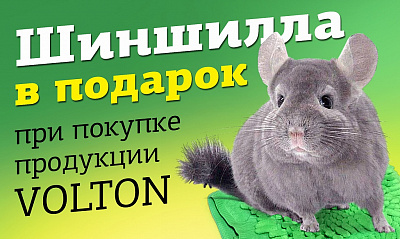 Акция «Купи Volton - получи Шиншиллу»