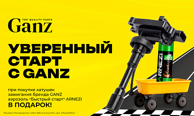 Уверенный старт с GANZ